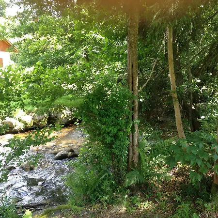 Apartamento 4 Pers En Rez De Jardin Xonrupt-Longemer